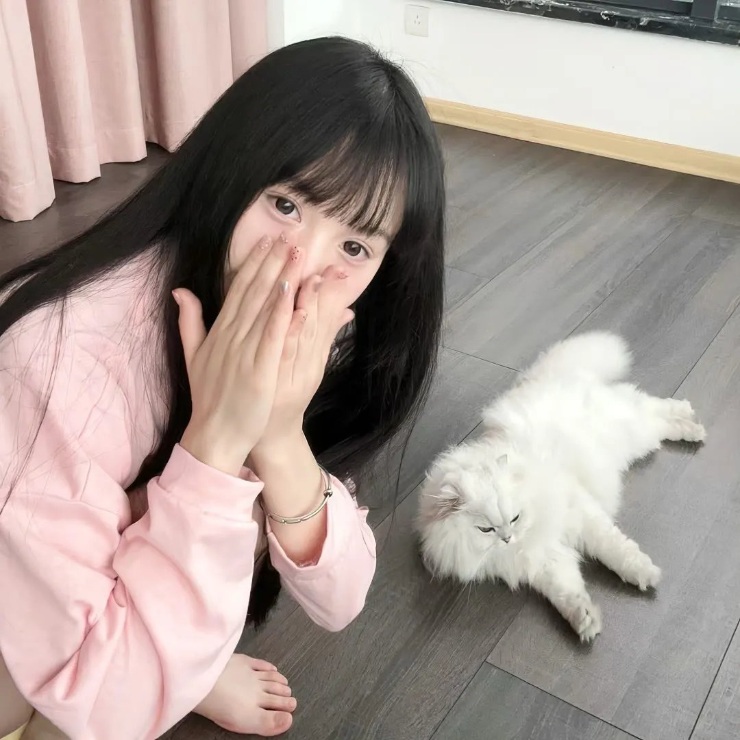 萤火虫